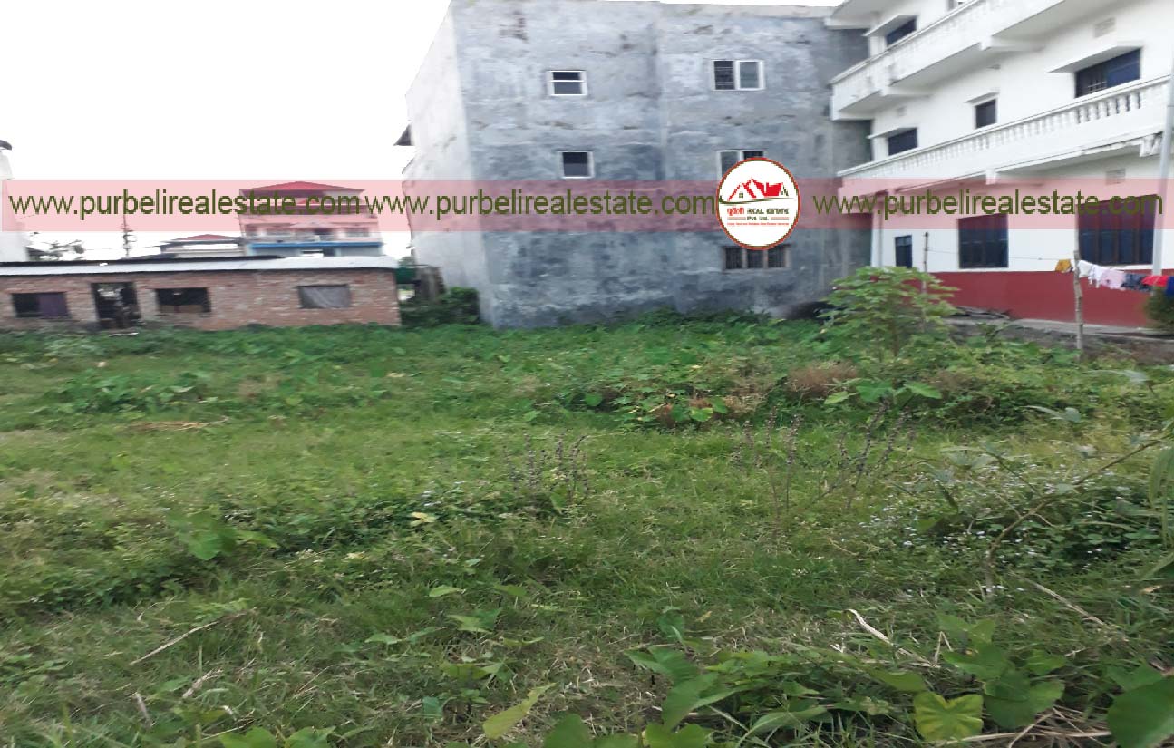 बिराटचोक, मोरङमा आकर्षक जग्गा बिक्रीमा