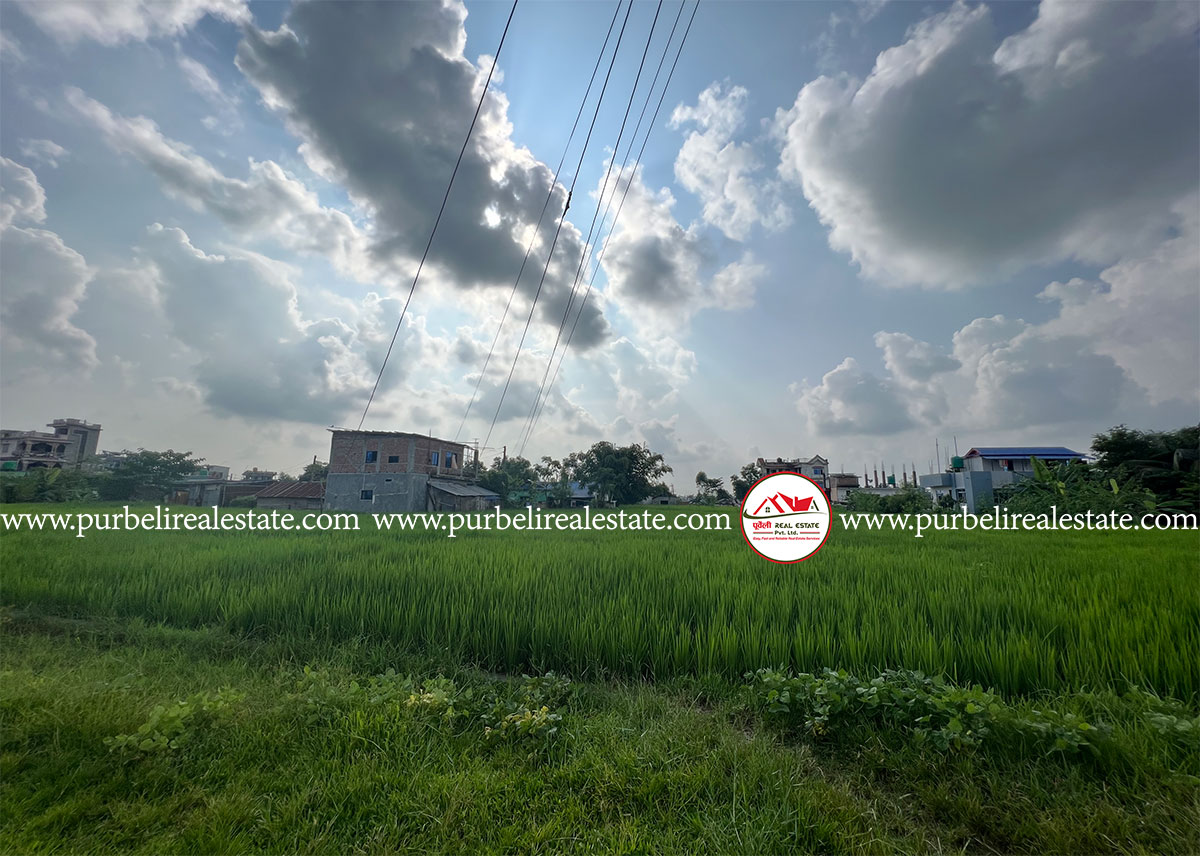दमक-०५ धनेश्वर चोक छेउमा आकर्षक जग्गा बिक्रीमा