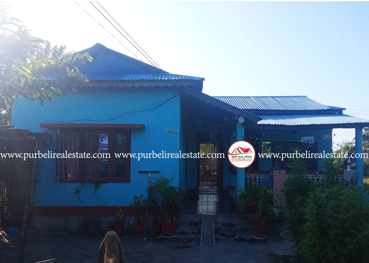 House on sale in urlabari-04, Morang | उर्लाबारी-४, उर्लाबारी क्याम्पस छेउमा १ तल्ला घर बिक्रीमा
