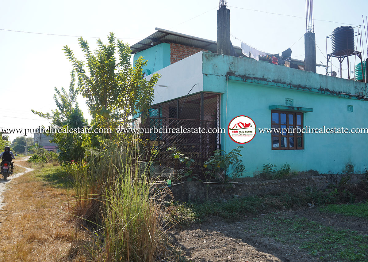 दमक-२, हिमाबी चोक छेउमा १ तल्ला घर बिक्रीमा