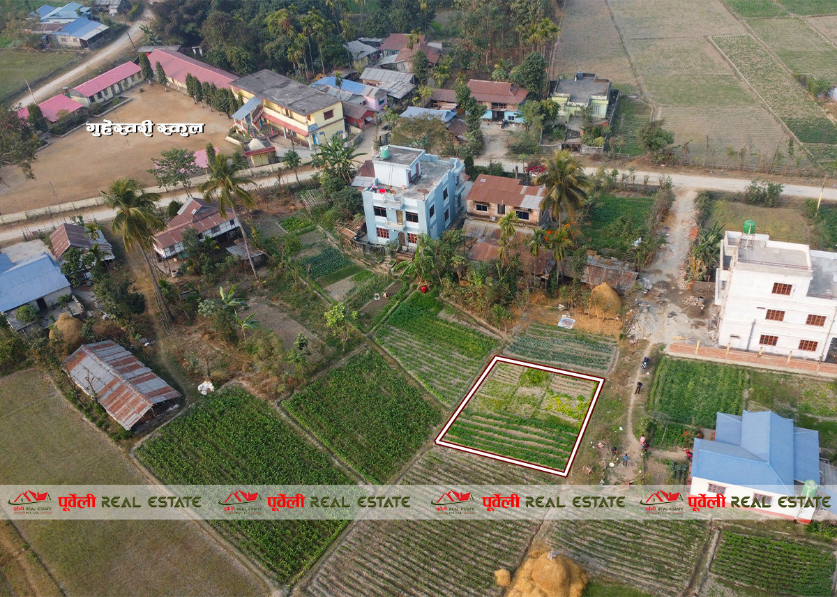 कमल गाउँपालिका-५, गुहेस्वरी स्कुल छेउमा जग्गा बिक्रीमा