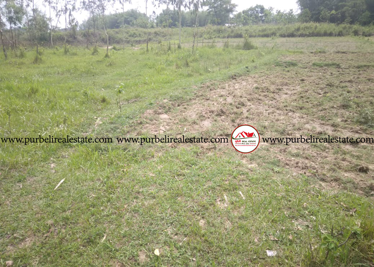 बैगुनधुरा, झापामा सुन्दर ३ बिग्गा जग्गा बिक्रीमा | Land on sale in Baigundhura
