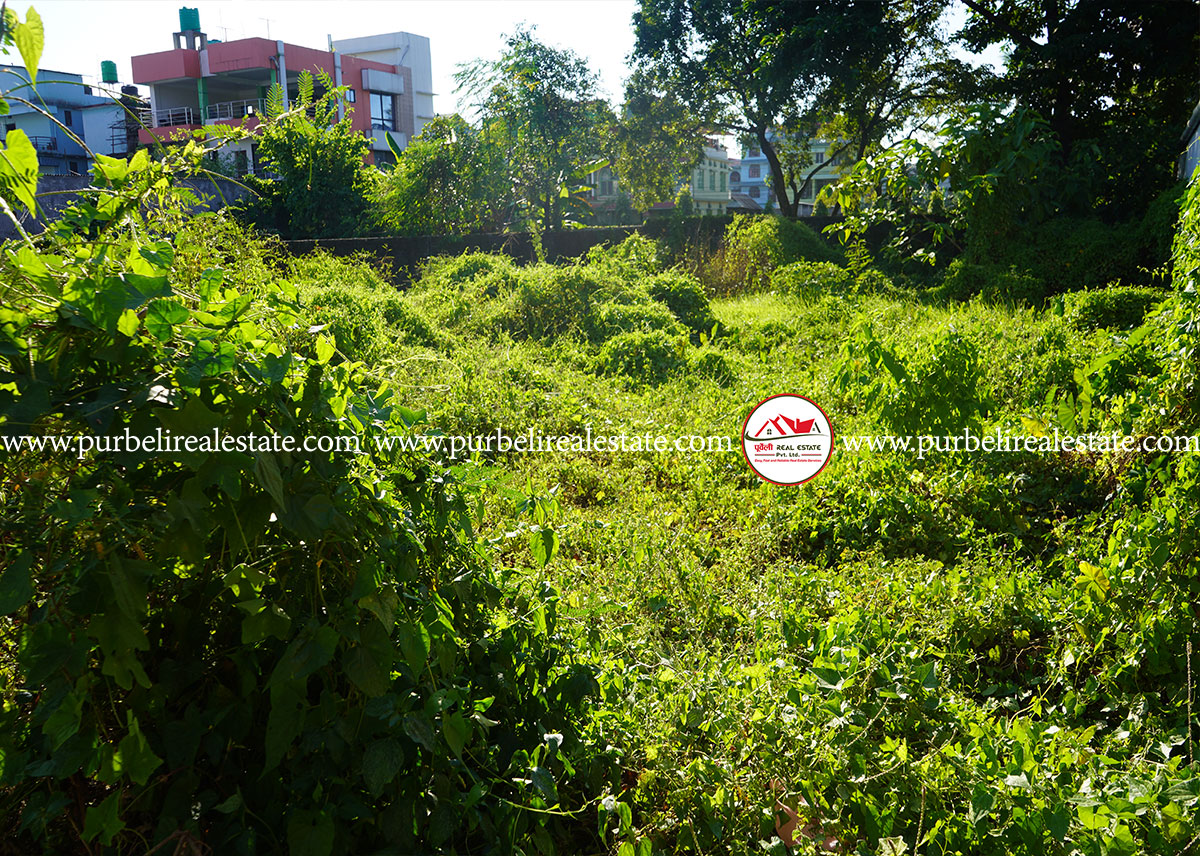 दमक-०६,शंखधर चोकमा आकर्षक जग्गा बिक्रीमा | Land on sale in Damak near Suryodaya School