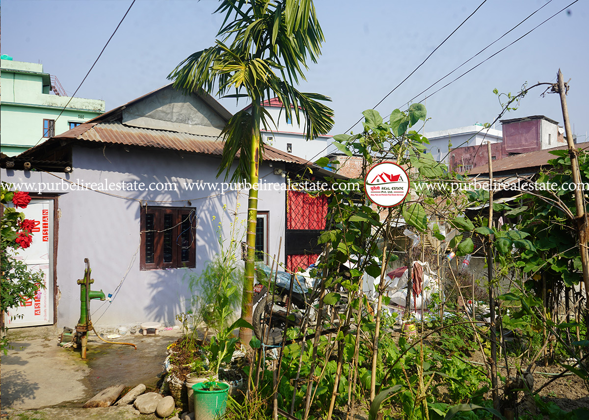 दमक-९, सिद्धार्थ टोलमा १ तल्ला जस्ता लगाईएको घर बिक्रीमा