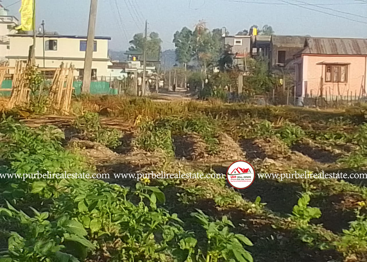 शिवसताक्षी-८, शान्ति मार्गमा १ कठ्ठा जग्गा बिक्रीमा
