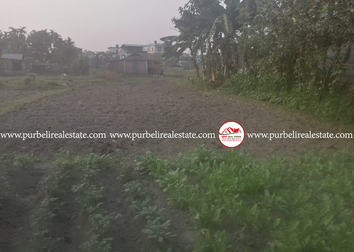 अर्जुनधारा-११, नारायण चोकमा २१ धुर जग्गा बिक्रीमा