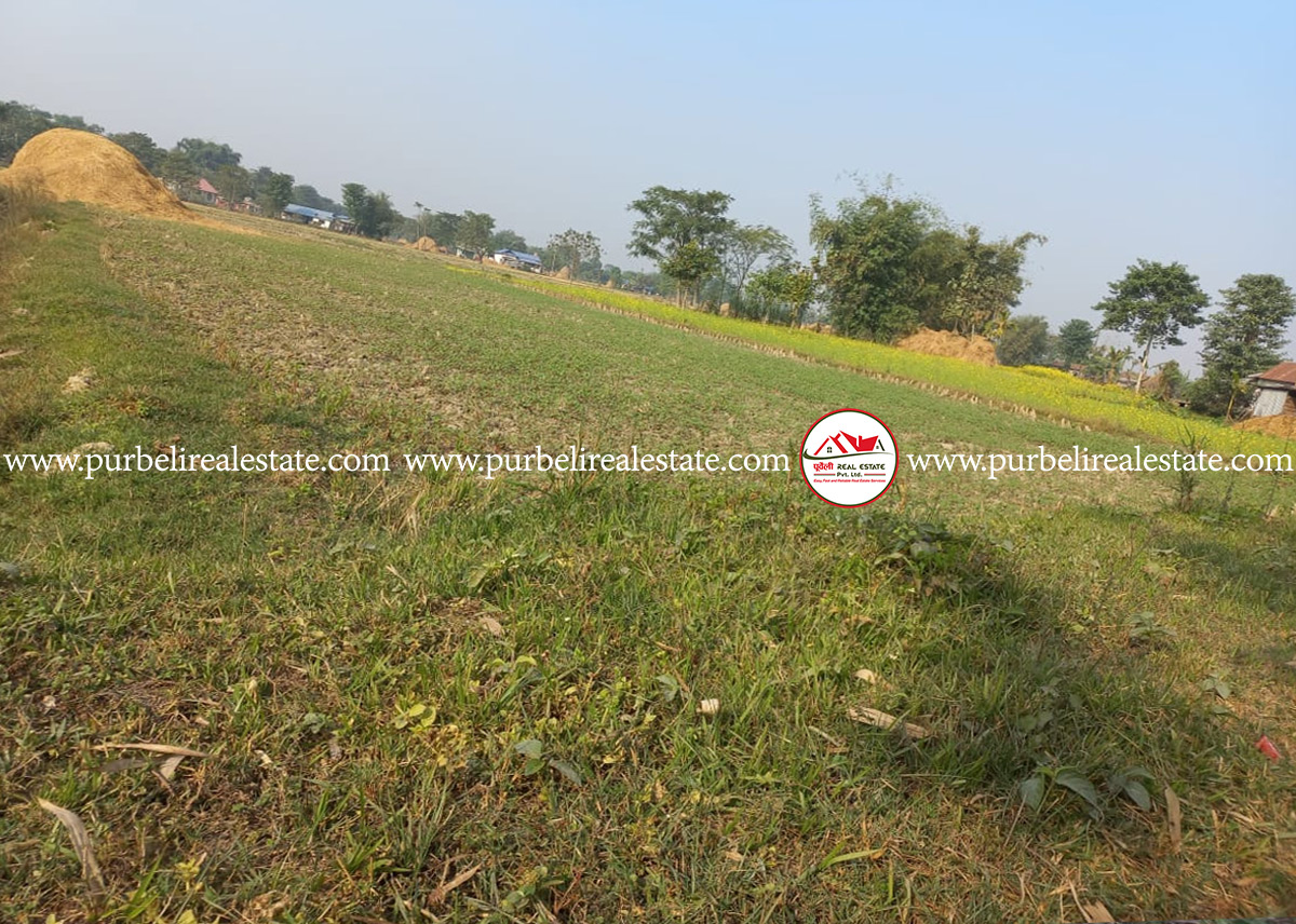 पुरानो हल्दिबारी -०२ , जनजागृति चोकमा २.१० कठ्ठा जग्गा बिक्रीमा