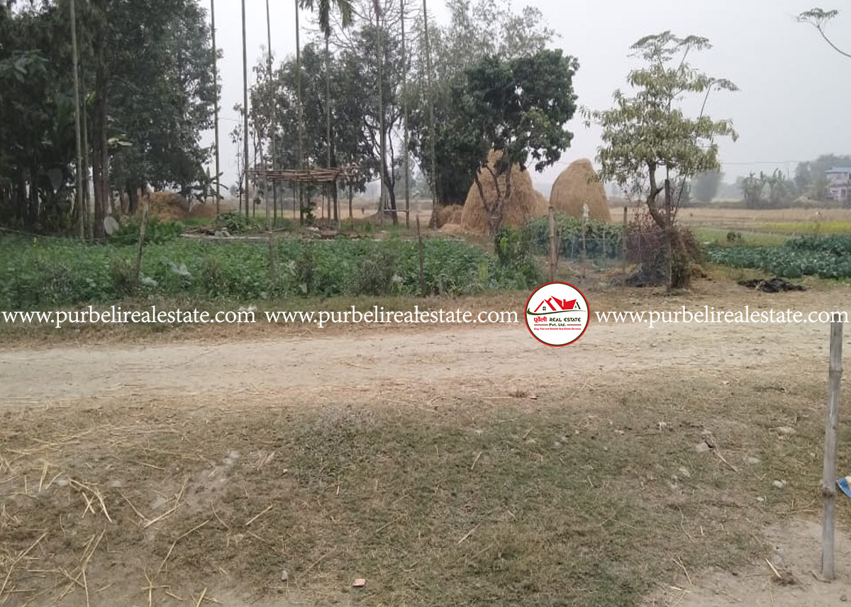 महाबरा गाउँपालिका-०१, माई बजारमा २-२ कठ्ठा जग्गा बिक्रीमा