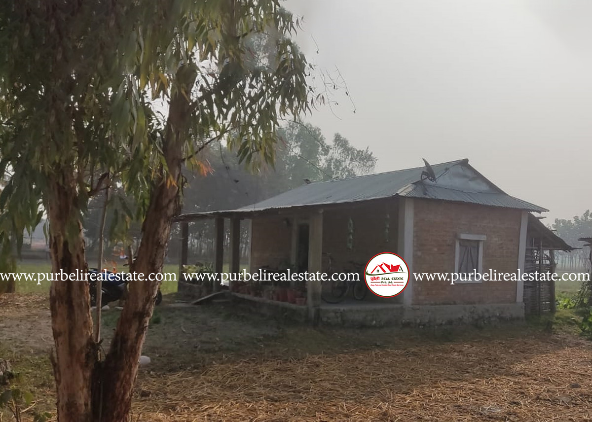 कमल गा.पा-४, किराँत चोकमा १ कठ्ठा जग्गा सहित घर बिक्रीमा
