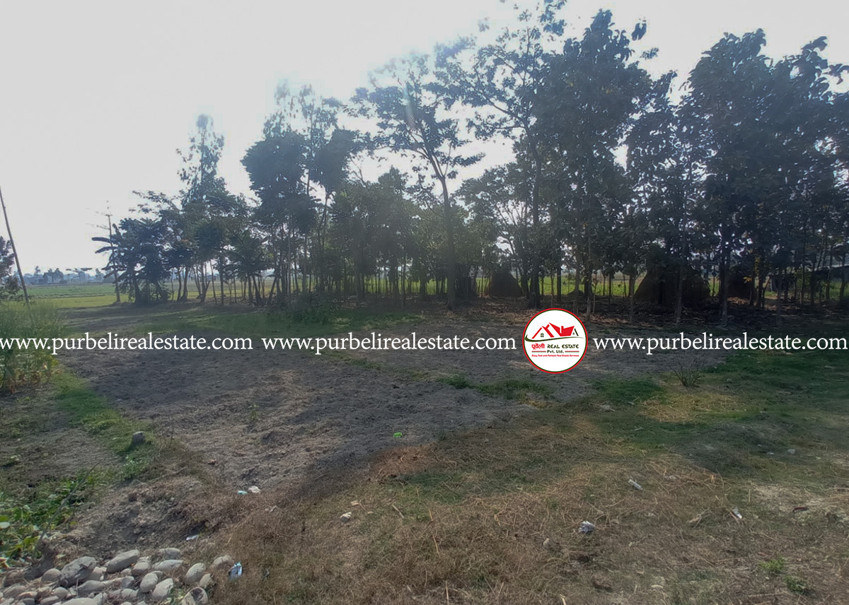 कमल-६, गुवाबारीमा १ कठ्ठा जग्गा बिक्रीमा