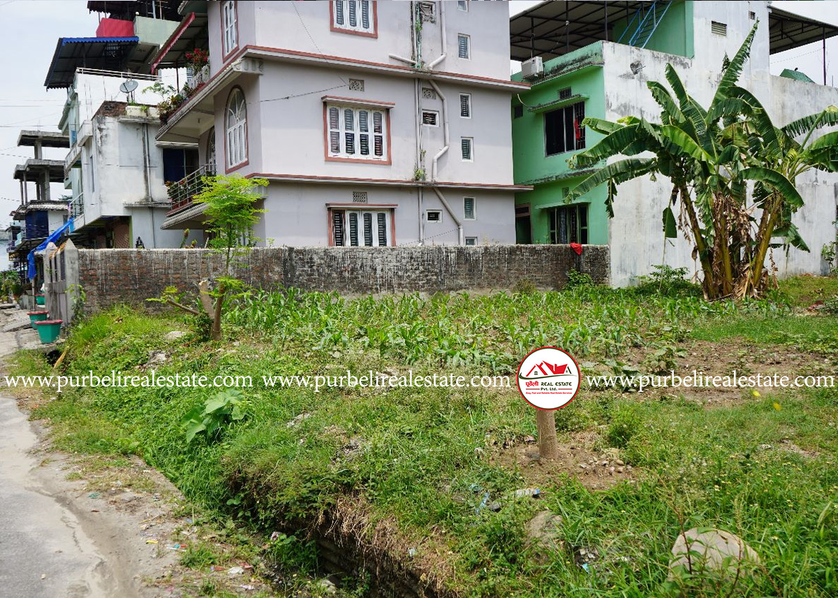 Attractive land sale near Kankai Party Palace Damak, Jhapa | दमक-९, एकता टोलमा ८.५ धुर जग्गा बिक्रीमा