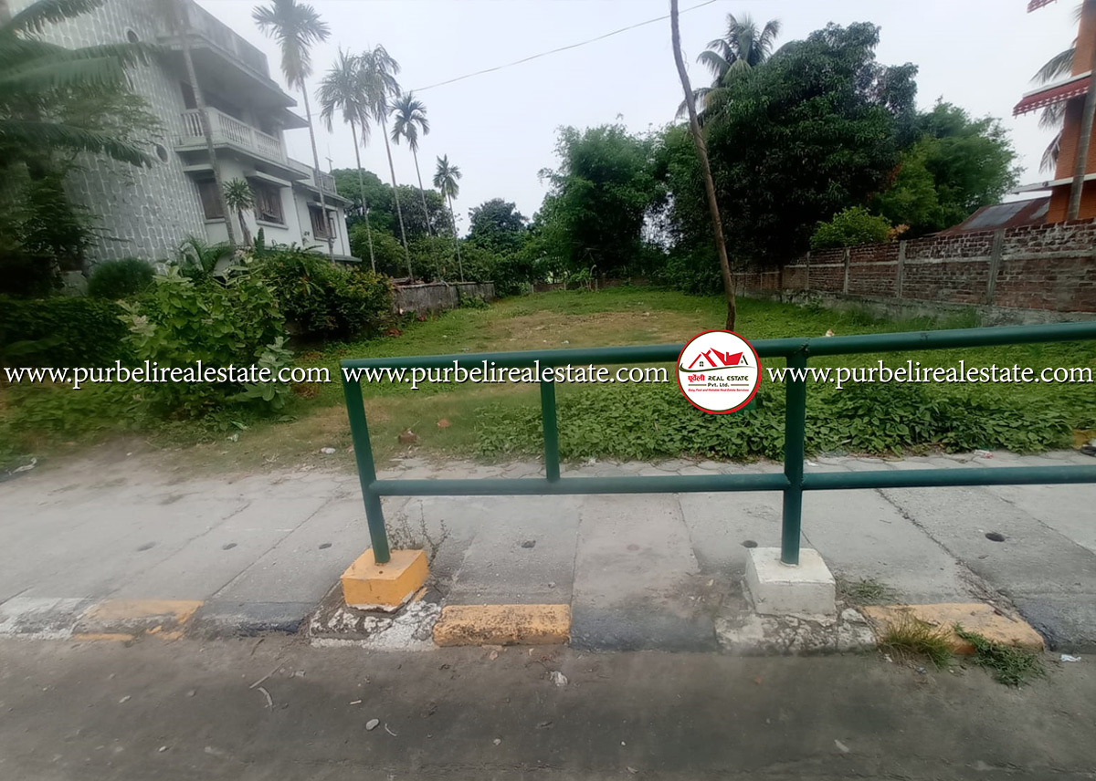 Commercial 1 kattha 19 Dhur land sale in near sagarmatha petrol pump Damak-05, Jhapa | दमक-०५, सगरमाथा पेट्रोल पम्प उत्तरमा १ कठ्ठा १९ धुर जग्गा बिक्रीमा