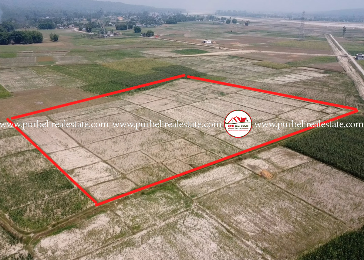 Land on sale in saptakoshi Municipality-03 | सप्तकोशी न.पा.-०३, सखुबानीमा १९ कठ्ठा २ धुर जग्गा बिक्रीमा |