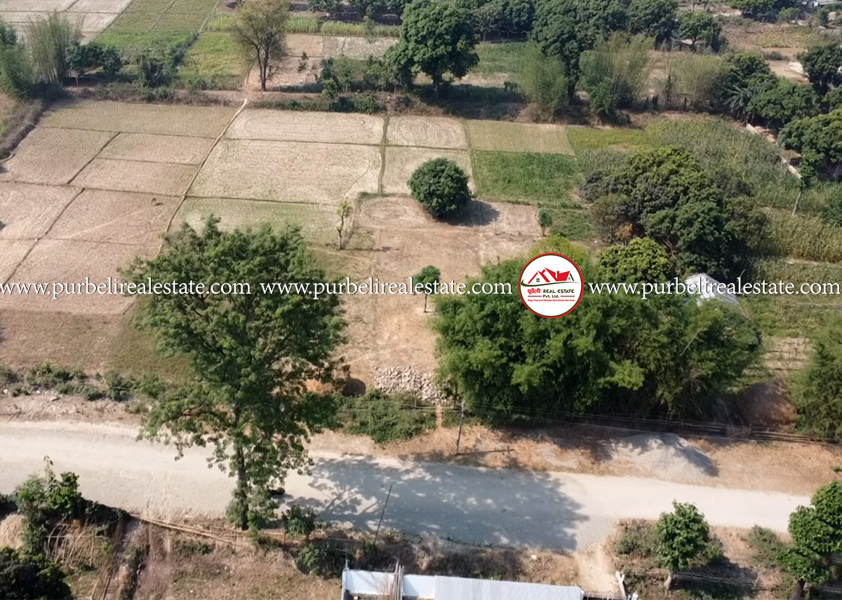 Land on sale in saptakoshi Municipality-02 | सप्तकोशी न.पा.-०२, बाबाजी अखडामा ५ कठ्ठा १० धुर जग्गा बिक्रीमा |