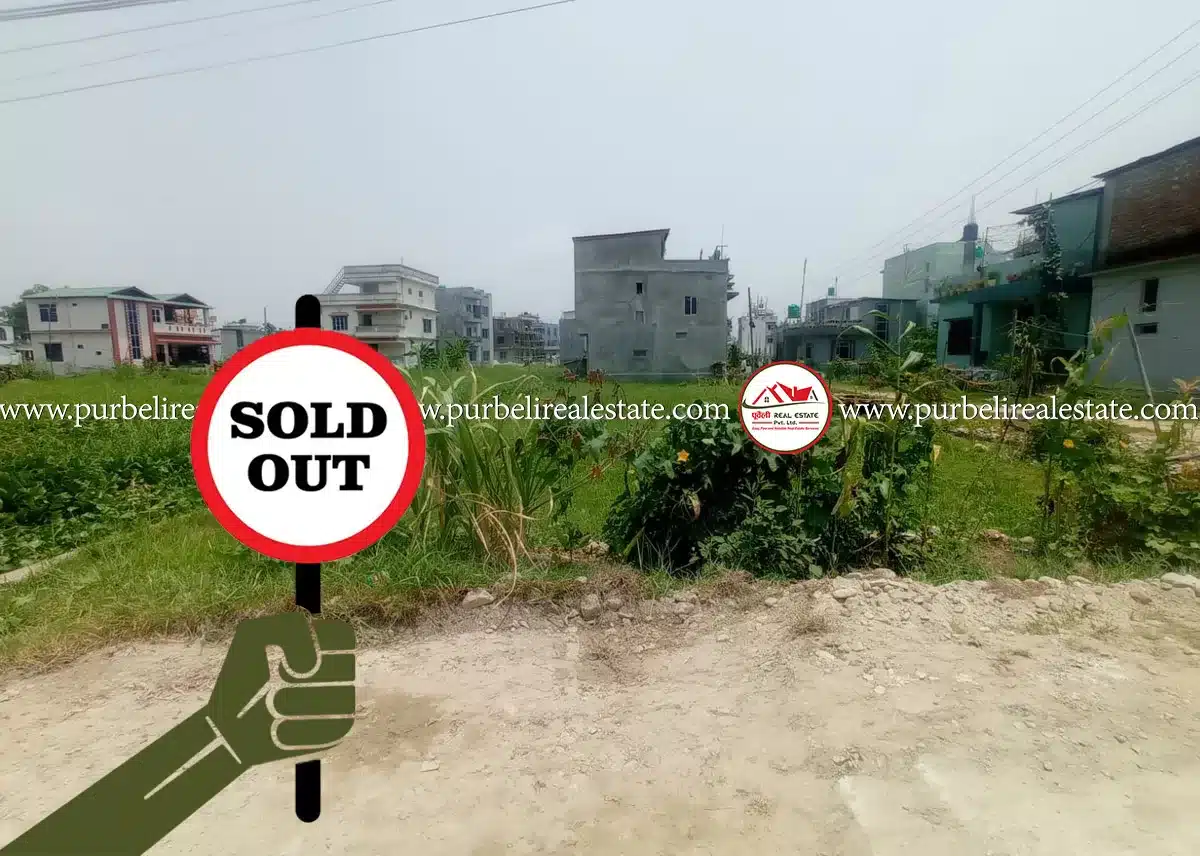Land on sale at damak-05, jhapa | दमक-०५, मोडल कलेज छेउमा जग्गा बिक्रीमा |