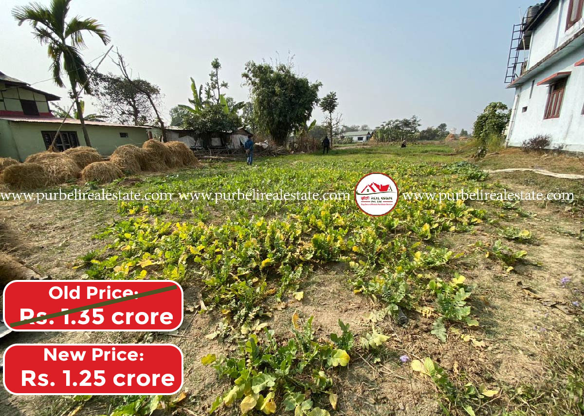 Land on sale at damak-4, jhapa | दमक-०४, शान्ति मार्ग जाने बाटो छेउमा ४ कठ्ठा ४ धुर जग्गा बिक्रीमा |