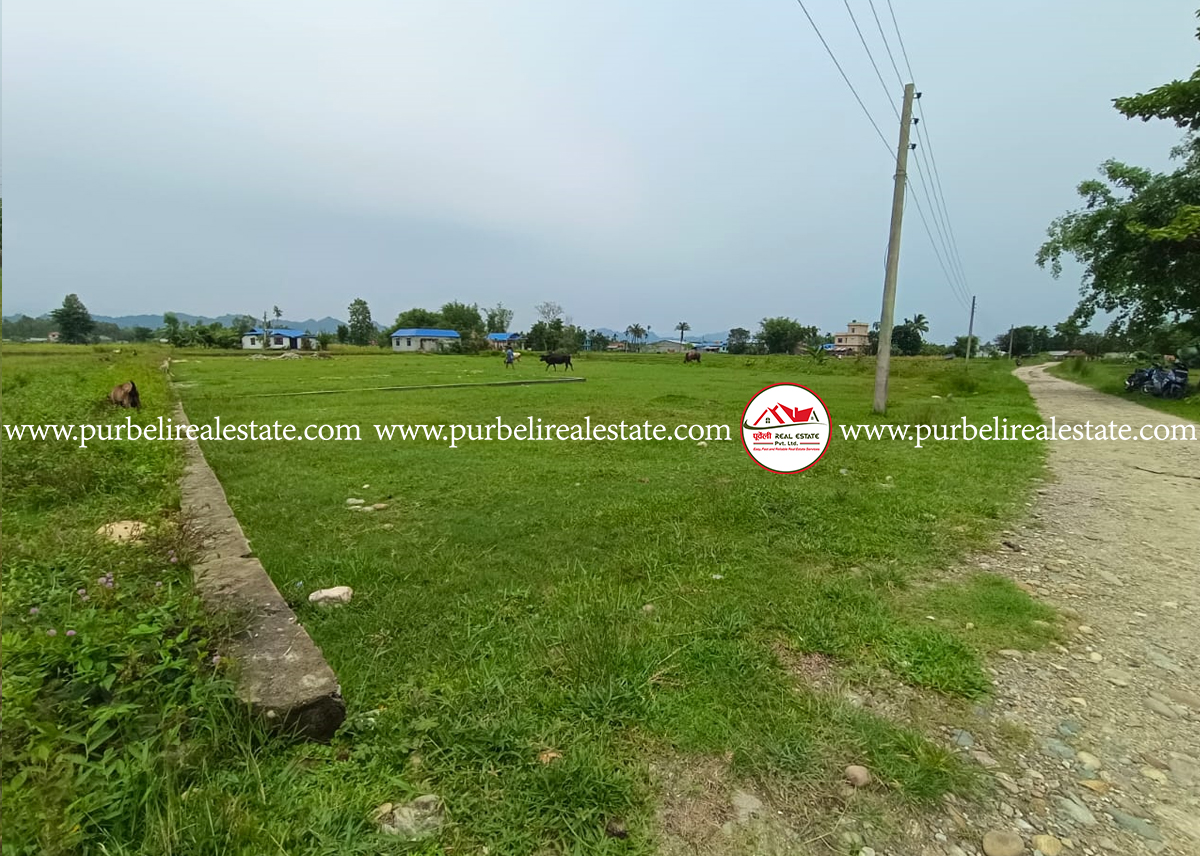 Land on sale at damak-02, jhapa | दमक-०२,गजकाली मन्दिर उत्तरमा १९ धुर जग्गा बिक्रीमा |