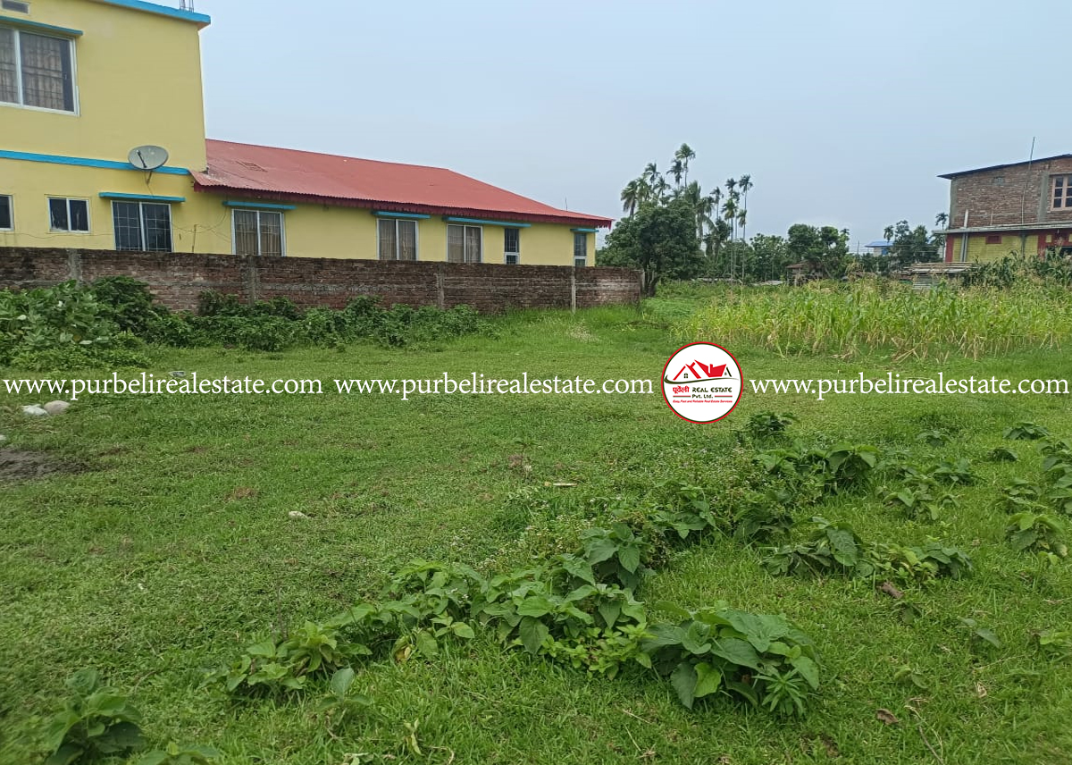 Land on sale in Damak-2 | दमक- २, बाल आश्रम दक्षिणपट्टी १० धुर जग्गा बिक्रीमा |