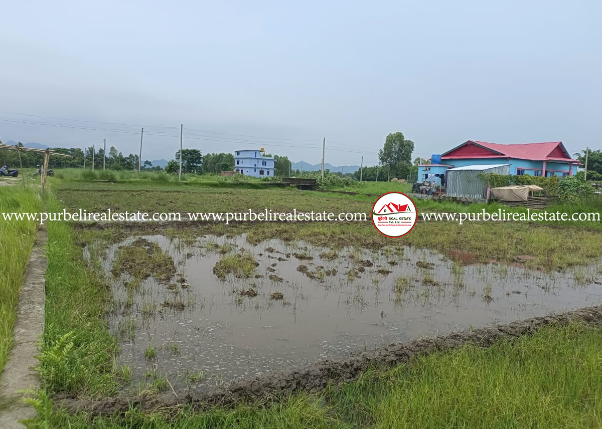 Land on sale at Damak-2, jhapa | दमक- २, बाल आश्रम दक्षिणपट्टी ११.२५ धुर जग्गा बिक्रीमा |