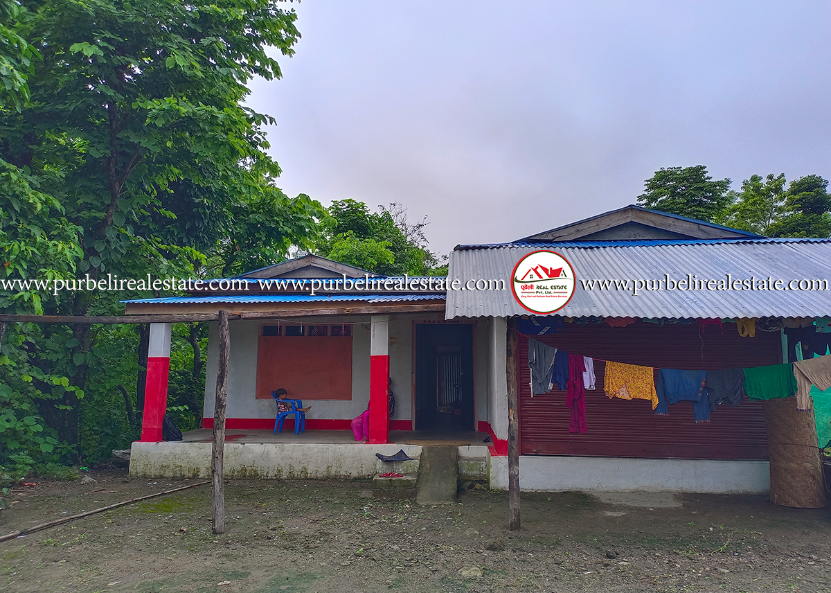 House on Sale at miklajung rural municipality-03, Morang | मिक्लाजुङ गाउँपालिका-०३, मोरंगमा १ तल्ला घर बिक्रीमा 