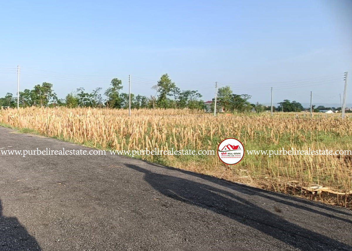 Attractive Land on sale at Gita nagar, Chitwan | गीता नगर, चितवनमा १० धुर जग्गा बिक्रीमा |