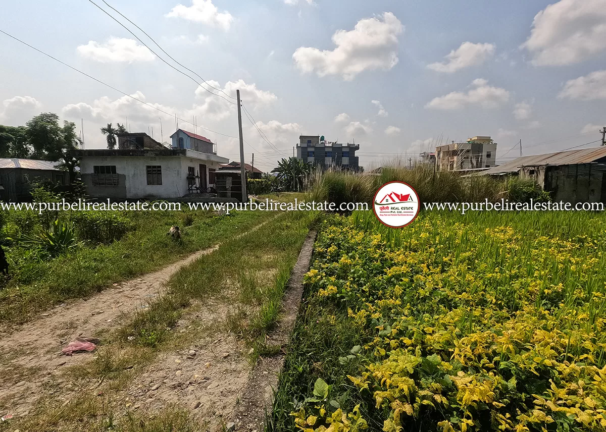 दमक – ०७, ताविन चोक, रिङ्गरोड छेउमा १६ धुर जग्गा बिक्रीमा | 16 Dhur land on sale at Damak-07 , Tawin chowk