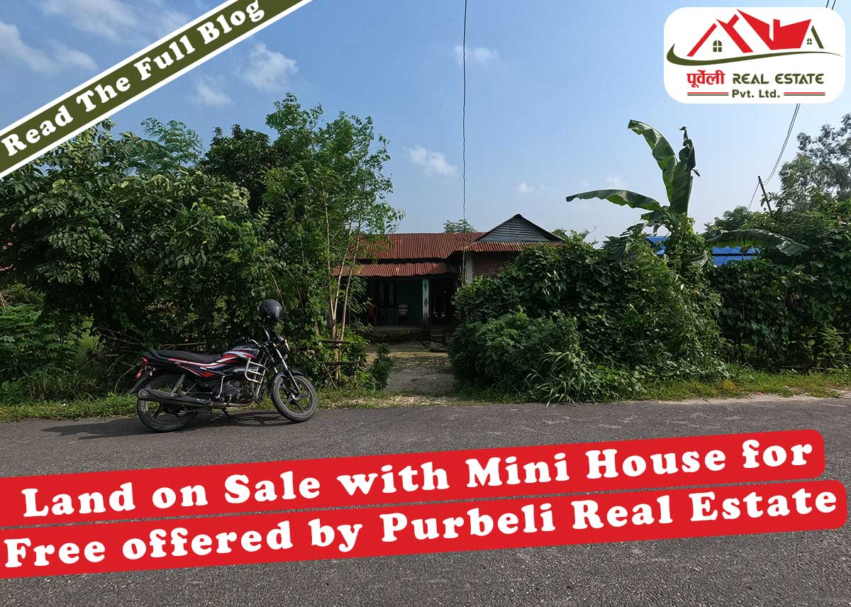 Land on Sale with Mini House for Free offered by Purbeli Real Estate