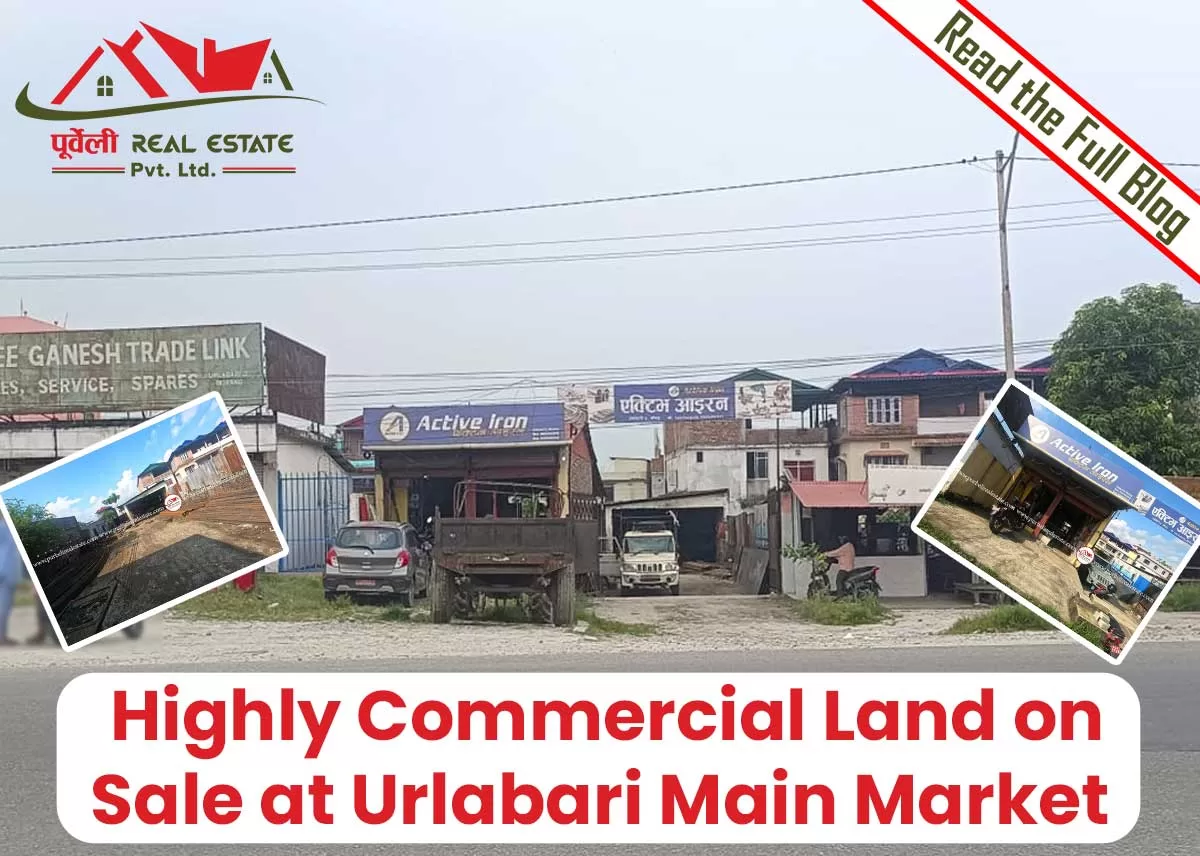Property Alert!! Highly Commercial Land on Sale at Urlabari Main Market