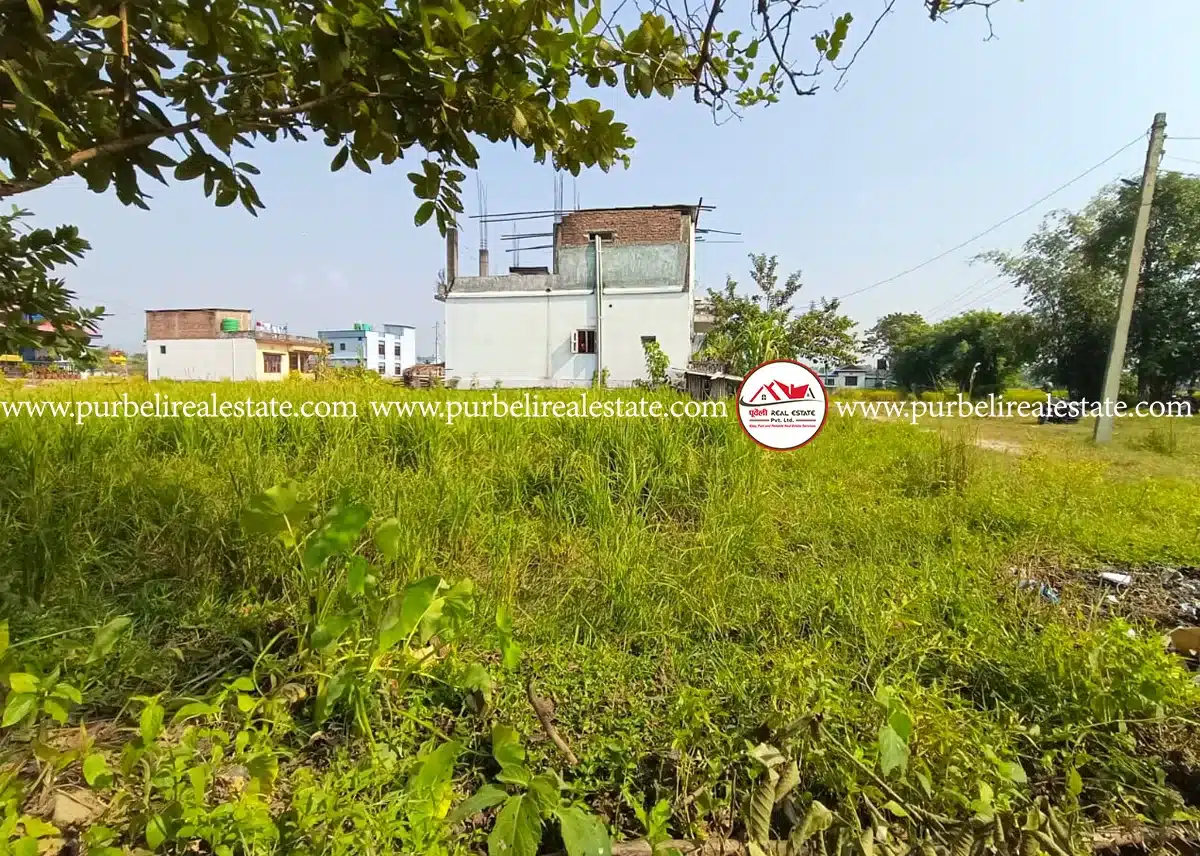 दमक – १ , पाथिभारा आँखा अस्पताल छेउमा ९.५ धुर जग्गा बिक्रीमा | 9.5 dhur land on sale at Damak – 1 near Pathivara Eye Hospital