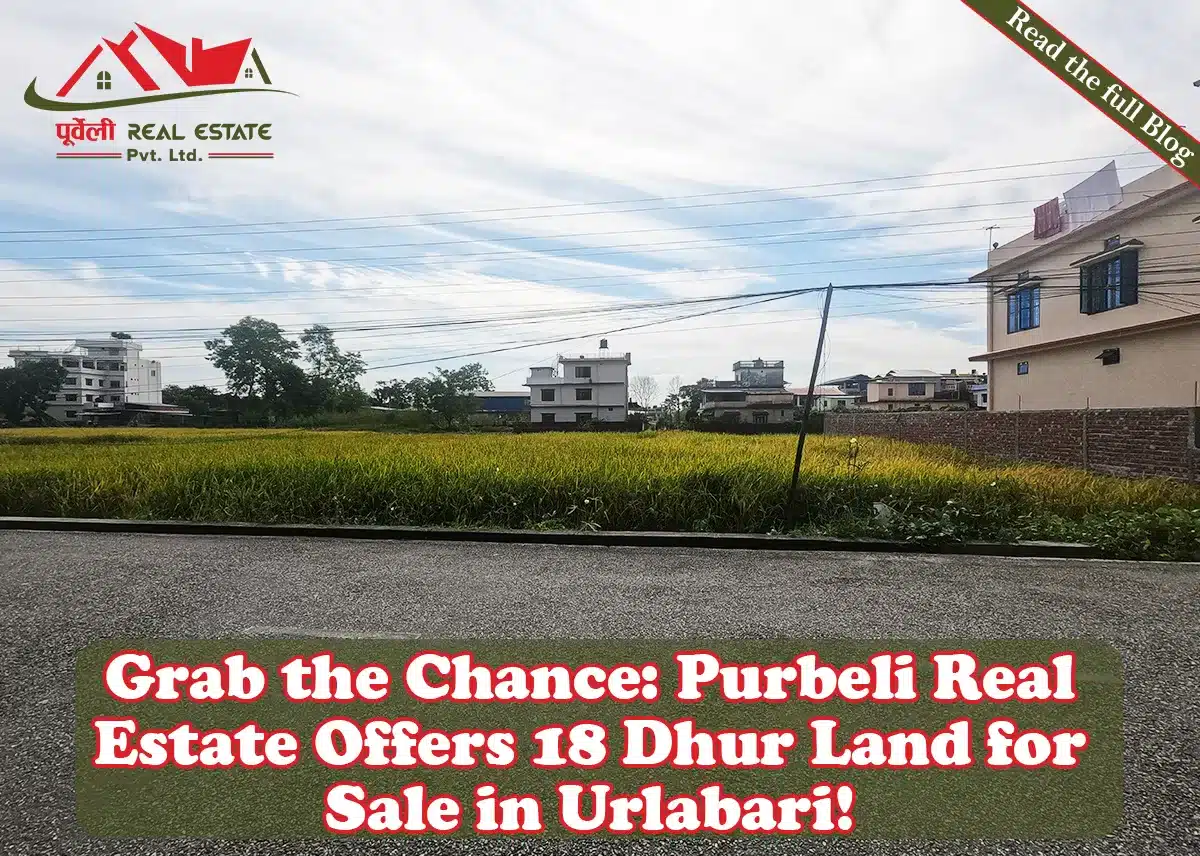  Grab the Chance: Purbeli Real Estate Offers 18 Dhur Land for Sale in Urlabari!