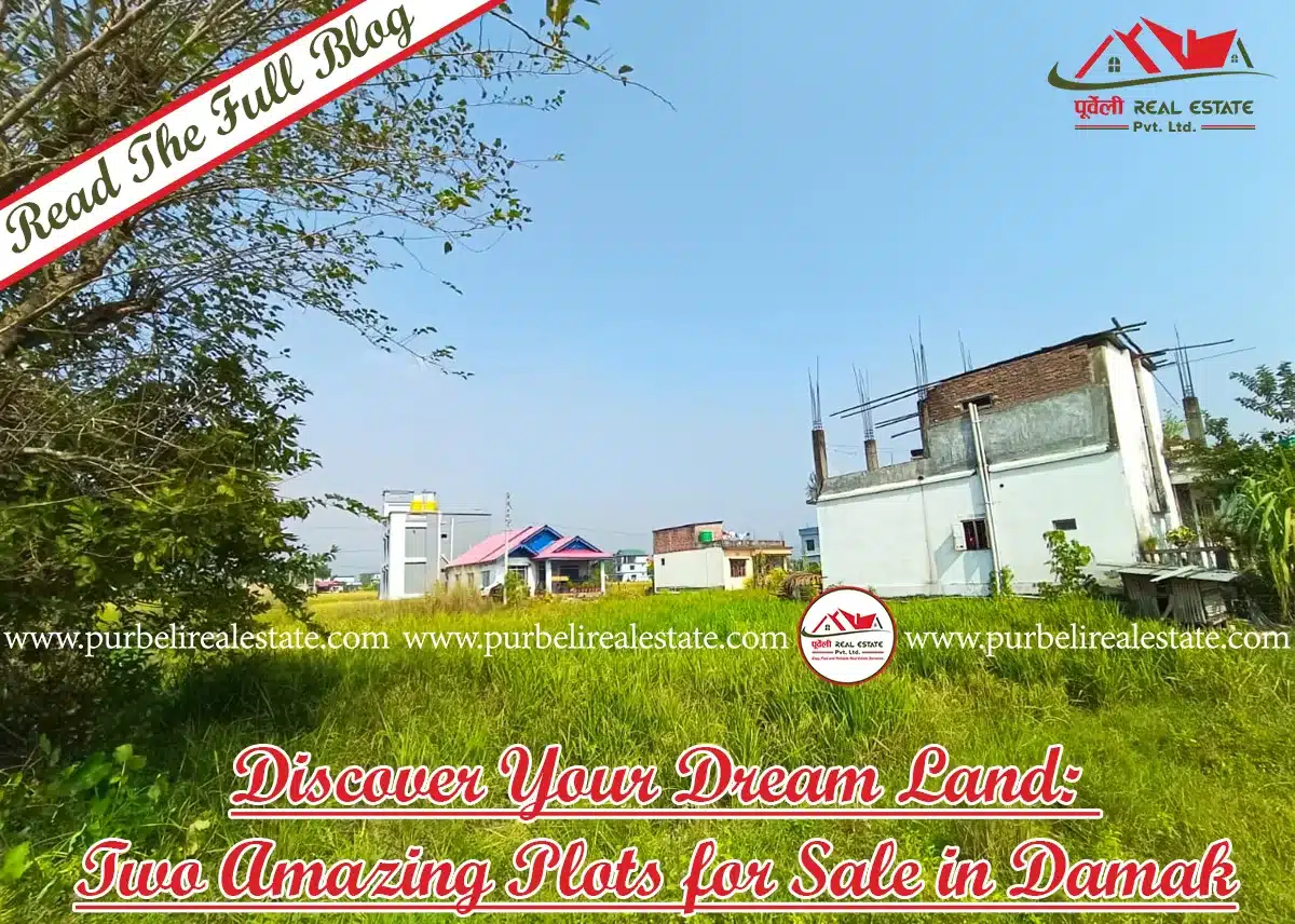 Discover Your Dream Land: Two Amazing Plots for Sale in Damak