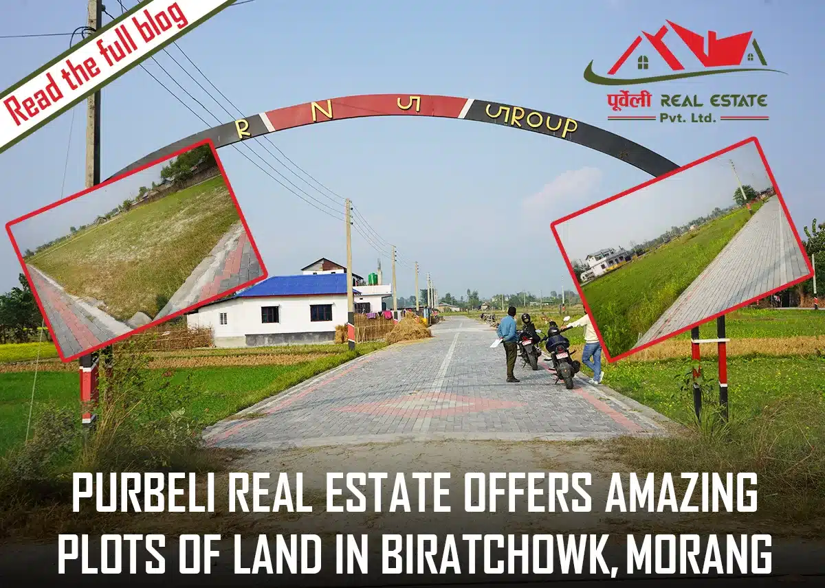 Purbeli Real Estate Offers Amazing Plots of Land in BiratChowk, Morang