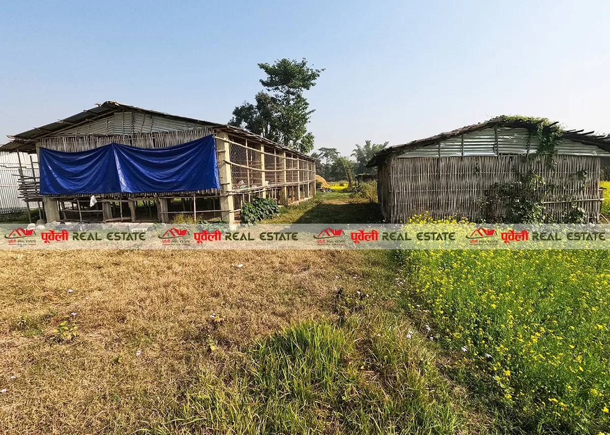 उर्लाबारी-६, मा २३ कठ्ठा जग्गामा बनेको कृषि फार्म भाडामा | Agricultural Farm For Rent at Urlabari-06