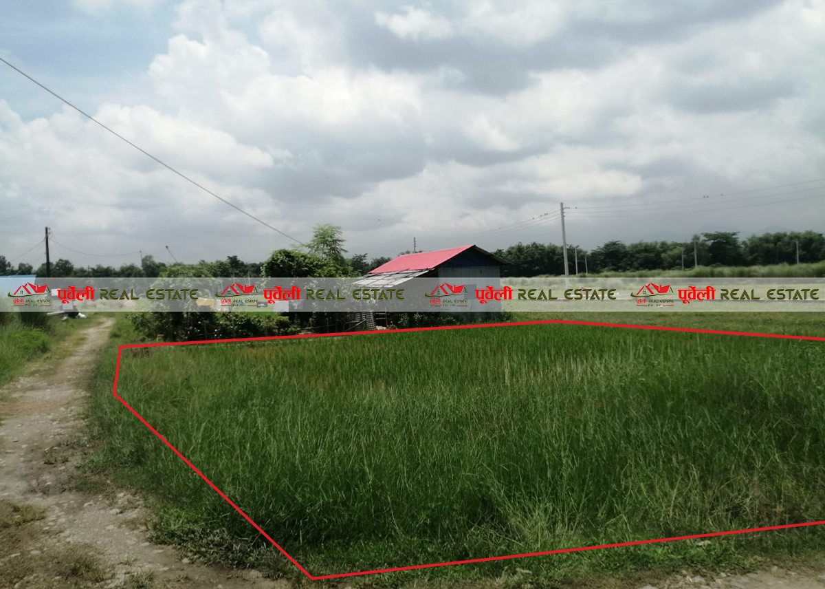 15 DHUR LAND ON SALE AT DAMAK-2, WEST TO WARD OFFICE | दमक-२, वार्ड कार्यालय पश्चिममा सस्तो मुल्यमा १५ धुर जग्गा बिक्रीमा | 