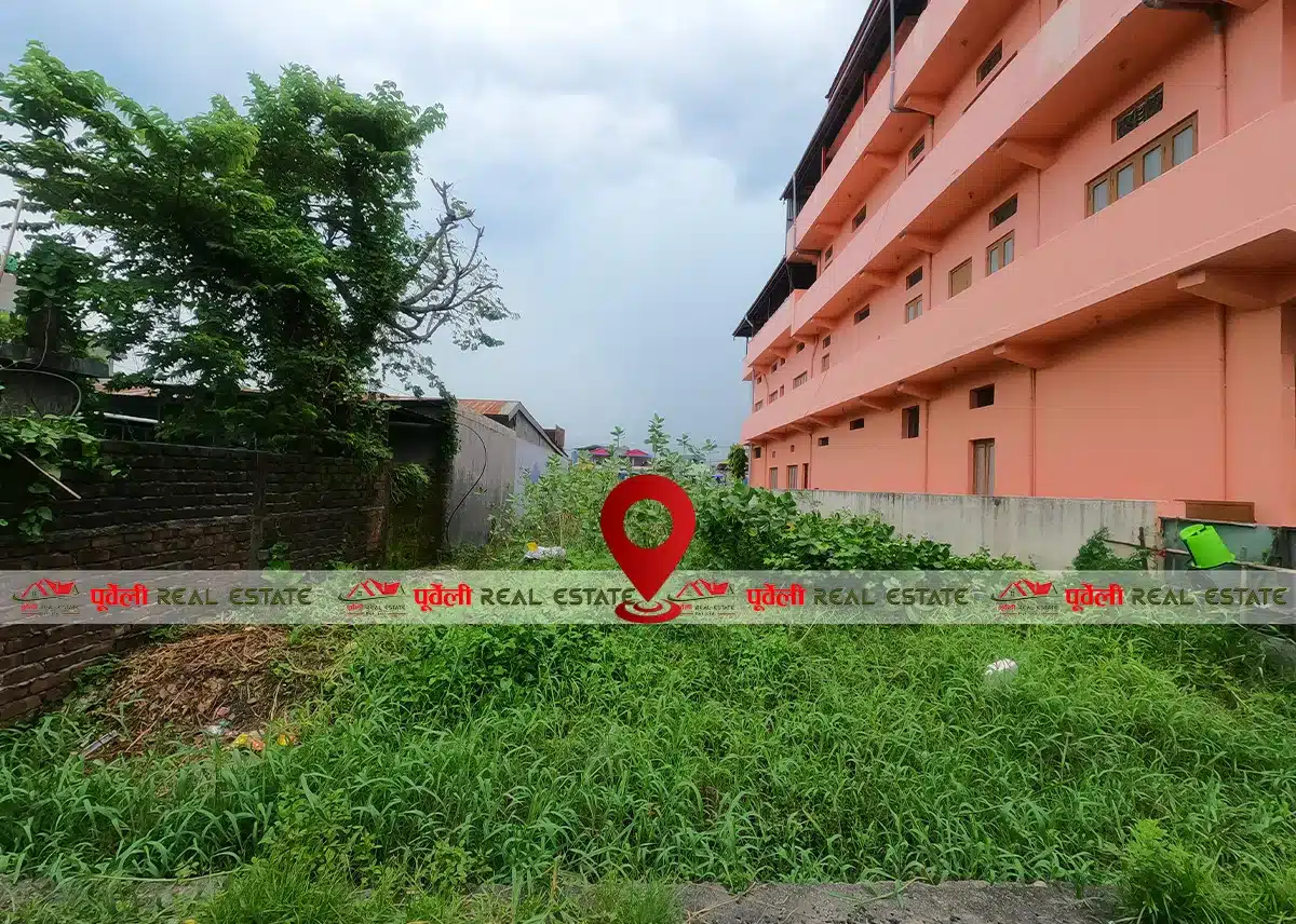 उर्लाबारी नगरपालिका वार्ड न.०५  अरनिको हस्पिटल पूर्व, कृषी विकास बैंक बाट उत्तरमा रहेको उत्कृस्ट व्यवसायिक जग्गा बिक्रीमा | Urlabari Municipality Ward No. 05 – Excellent Commercial Land for Sale (East of Arniko Hospital, North of Krishi Bikash Bank)