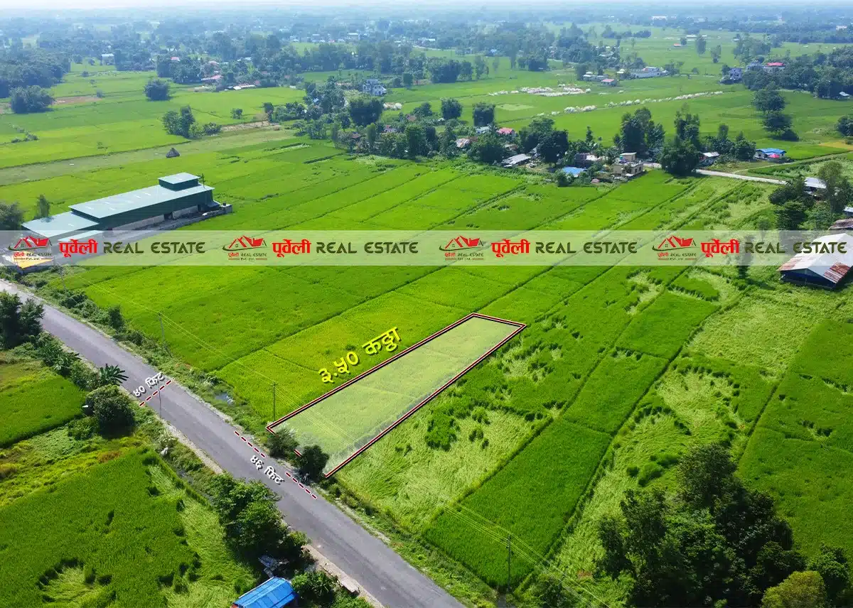 दमक–१०, याम्फु चोकमा ३ कठ्ठा १० धुर  जग्गा सस्तो मूल्य मा बिक्रीमा आएको छ | Damak-10, Yamphu Chowk – Land for Sale at a Cheap Price
