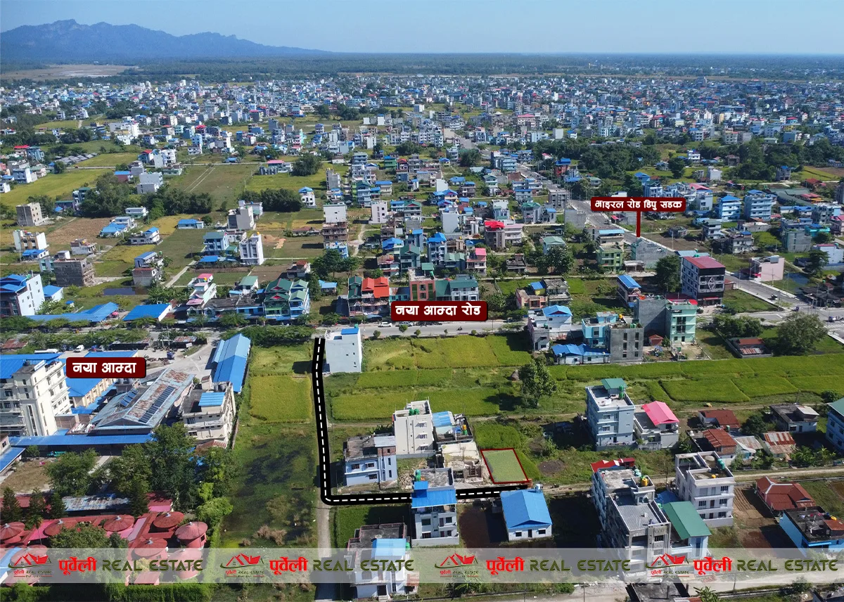 दमक–०२, नया आम्दा बाट मात्र ५० मिटर दक्षिणमा ८.५० धुर नेट जग्गा बिक्रीमा आएको छ | Damak-02, 8.50 Dhur Net Land for Sale – Just 50 Meters South from Naya Aamda