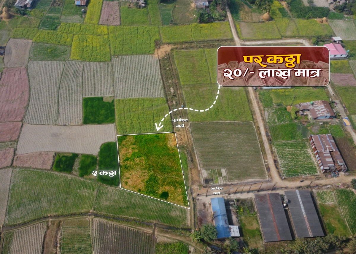 दमक–०४, ताराबारी चोक देखि  १ कि. मि दक्षिणमा ३ कठ्ठा जग्गा बिक्रीमा | Damak-04, 3 Kattha Land for Sale – 1 km South of Tarabari Chowk