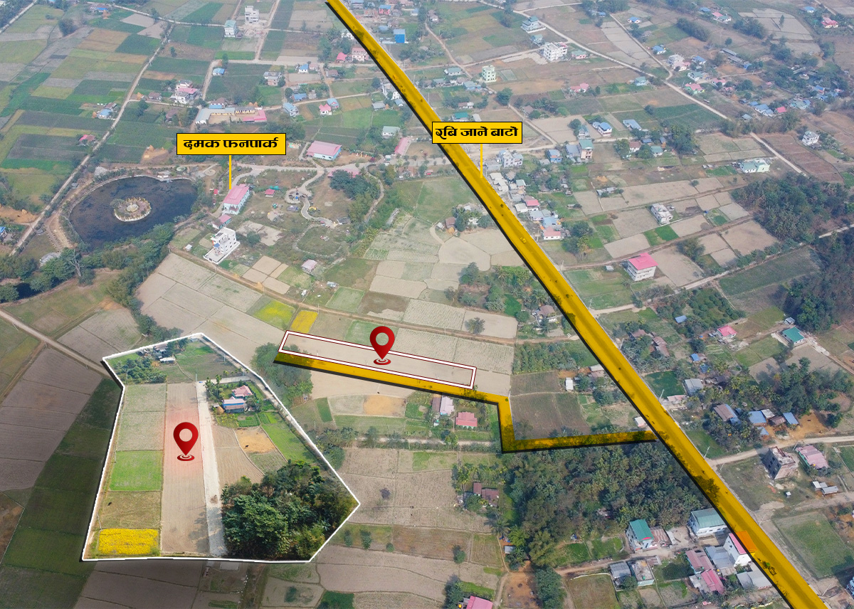 दमक–०१, दमक फन पार्क छेउ १० धुर देखि माथिको ८ वटा जग्गा को टुक्राहरू बिक्रीमा आएको छ | Damak-01, 8 Land Plots for Sale – Beside Damak Fun Park