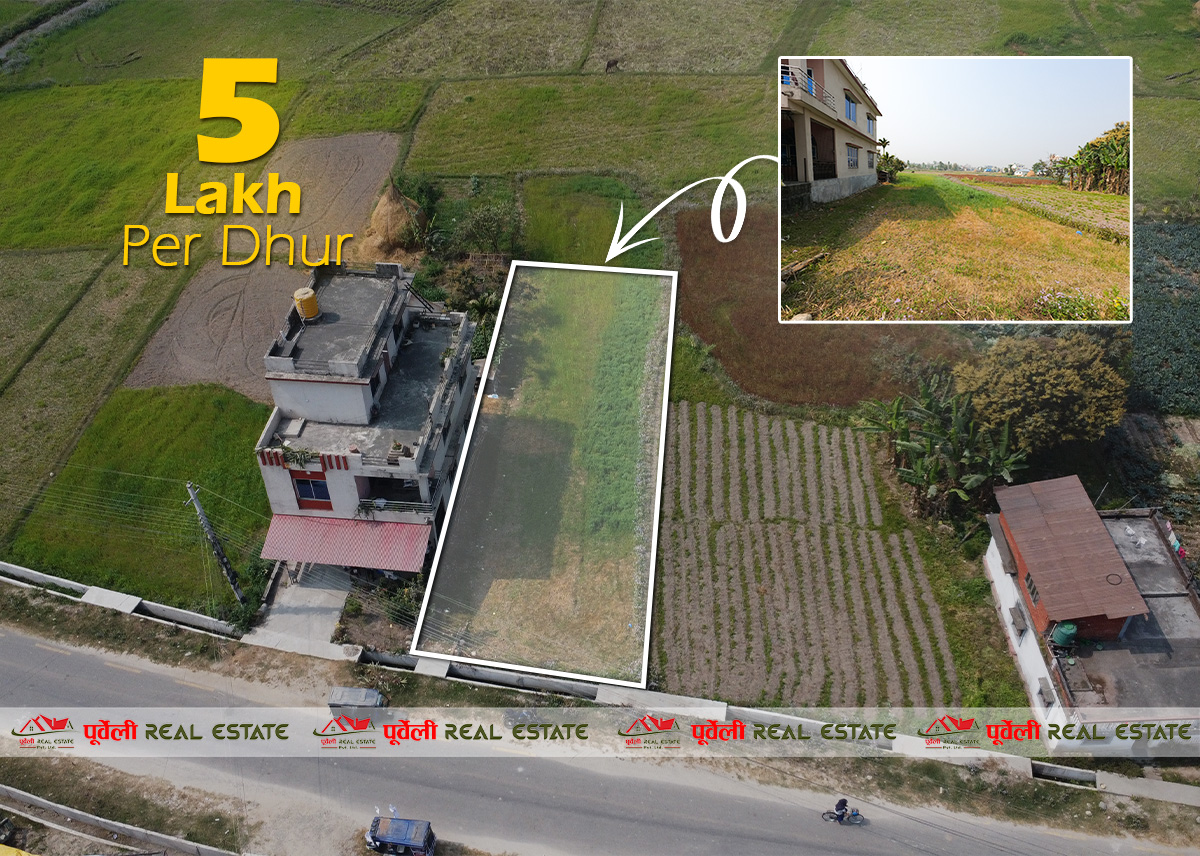 दमक–०९, शान्ति मार्ग, महेन्द्र हाइवे बाट मात्र १ कि. मि दक्षिणमा १ कठ्ठा जग्गा बिक्रीमा आएको छ | Damak-09, 1 Kattha Land for Sale – Shanti Marg, 1 km South of Mahendra Highway