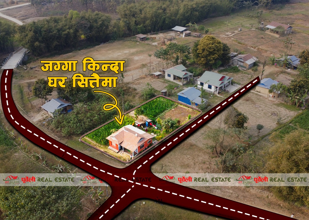 कमल गा. पा.–०५ , टोपी डाडा (मंगलवारे बजार पूर्व ) २ कठ्ठा जग्गा र मिनी घर  बिक्रीमा आएको छ | Kamal-05, Topi Dada (East of Mangalbare Market) – 2 Kattha Land with Mini House for Sale