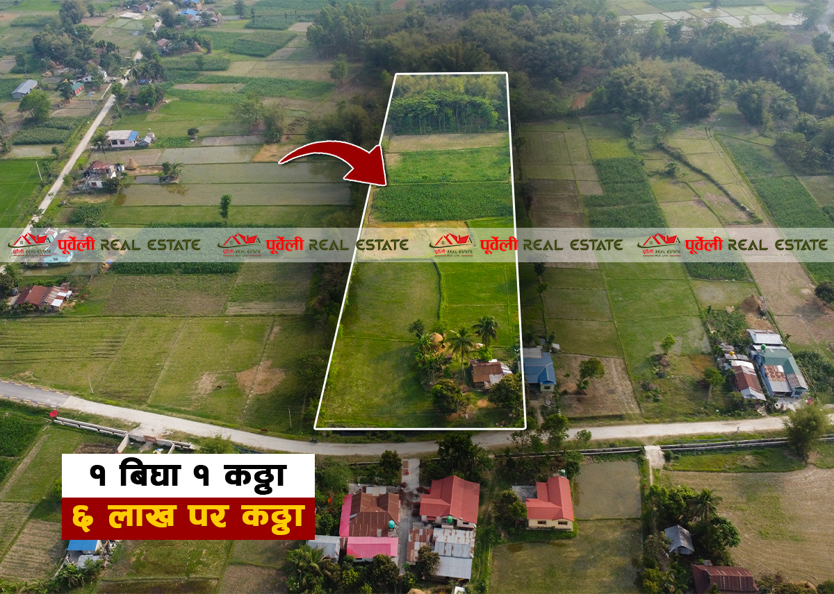 कमल गा. पा.–०३ , खानेपानि टंकी छेउ १ बिघा १० कठ्ठा जग्गा बिक्रीमा आएको छ | Kamal Rural Municipality-03, 1 Bigha 10 Kattha Land for Sale – Near Drinking Water Tank