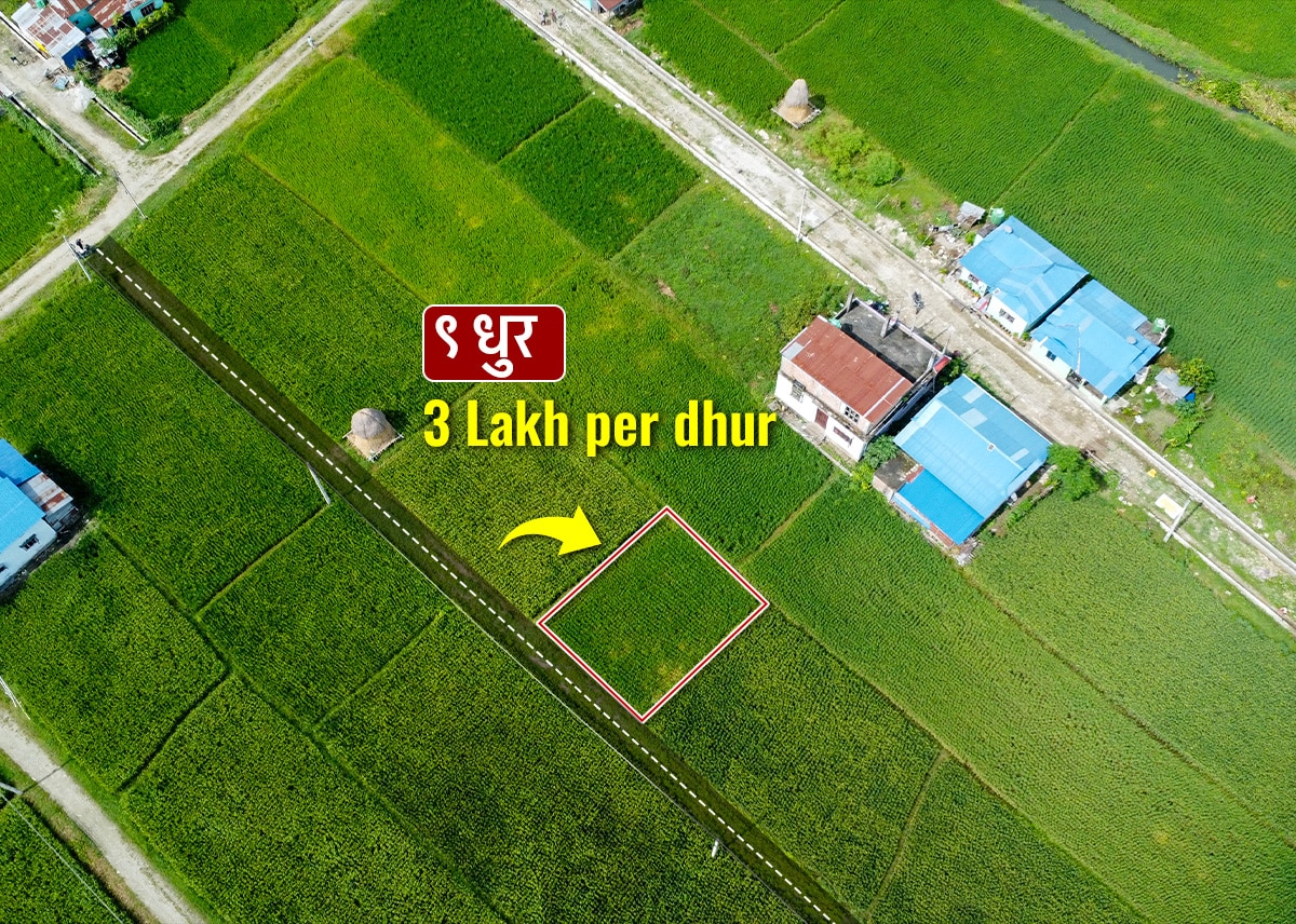 दमक–०९, (शान्ति मार्ग) सभा हल जाने बाटोमा ९ धुर जग्गा बिक्रीमा आएको छ | Damak-09, Shanti Marg (On the Road to Sabha Hall) – 9 Dhur Land for Sale