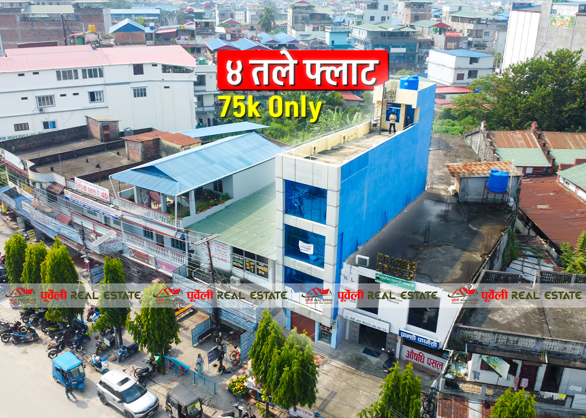 दमक-०६ , गोल्डेन गेट (दमक फार्मेसी) अगाडी ४ तले घरमा अफिस तथा डिपार्टमेन्ट प्रयोजनको स्टोरको लागि फ्लाट भाडामा आएको छ | Damak-06, Golden Gate (In Front of Damak Pharmacy) – Office/Department Store Space for Rent