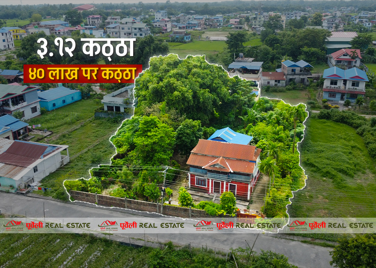 दमक–०८, (पुल चोक पूर्व) एभरेस्ट बोर्डिङ दक्षिणमा ३ कठ्ठा १२ धुर जग्गा र घर बिक्रीमा आएको छ | Damak-08, East of Pul Chowk (South of Everest Boarding) – 3 Katha 12 Dhur Land & House for Sale